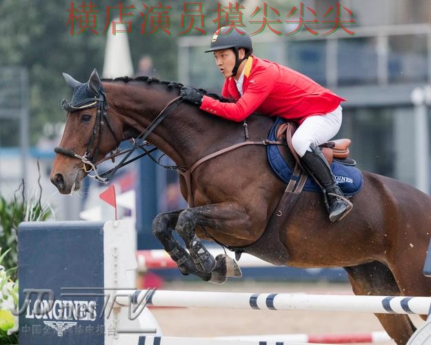 世界杯买球平台真实体验怎么选？实测对比给你答案（世界杯全球总决赛）